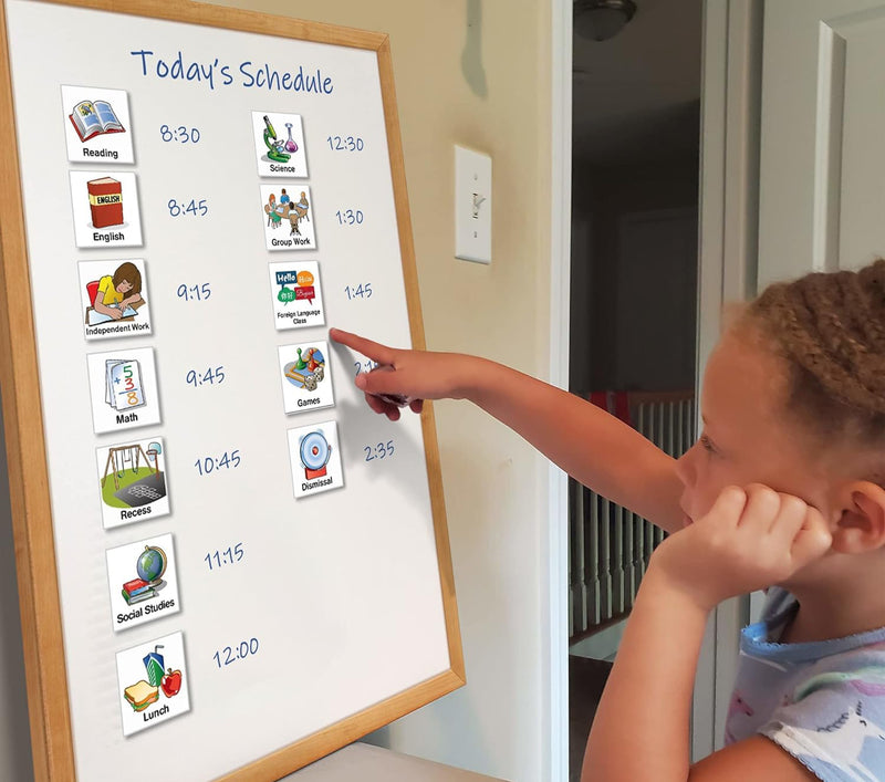 Schkidules Magnetic Visual Schedules - 87 pc Education Collection