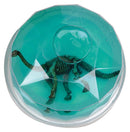 Dinosaur Fossil Putty