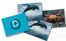 Memory Game - Sea Life