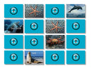 Memory Game - Sea Life