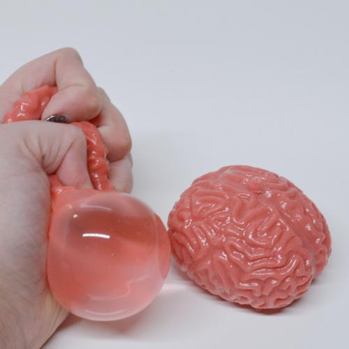 Squishy Brain Ball