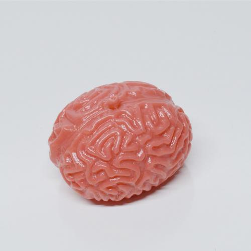 Squishy Brain Ball