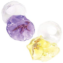 Dinosaur Fossil Putty