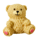 Squish & Squeeze Teddy Bear