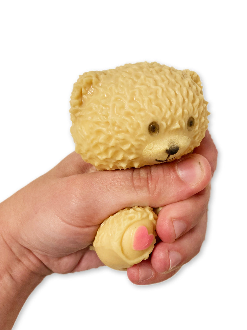 Squish & Squeeze Teddy Bear