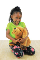 Theo the Therapy Dog