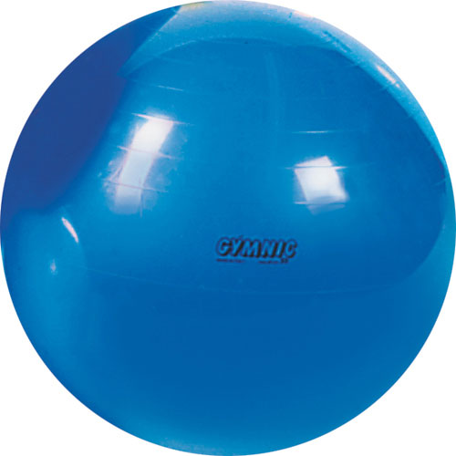 38" Blue Physio Gymnic Ball