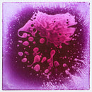purple-liquid-floor-tile