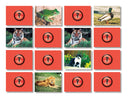 Memory Game - Animals