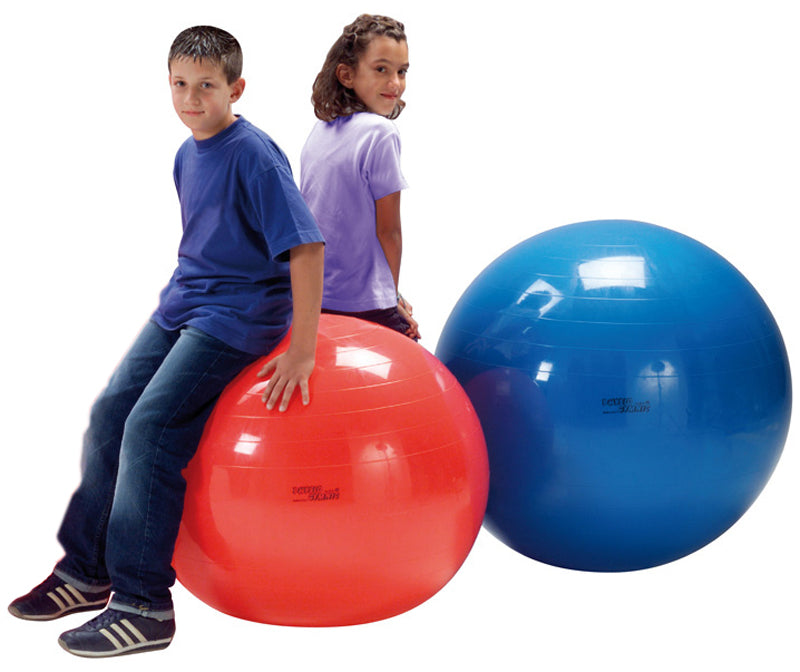 Physio Gymnic Large Exercise Ball