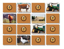 Memory Game - On the Farm