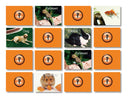 Memory Game - Pets