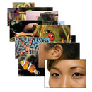 Language Builder Picture Nouns 2 Set