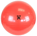 Cando Exercise Ball