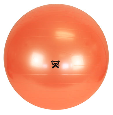 Therapy Ball