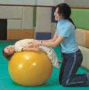 Cando Exercise Ball